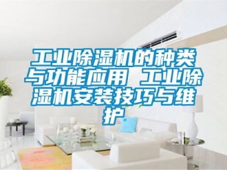 常見問題工業除濕機的種類與功能應用 工業除濕機安裝技巧與維護
