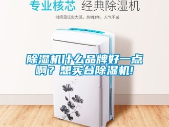 企業新聞除濕機什么品牌好一點?。肯胭I臺除濕機!