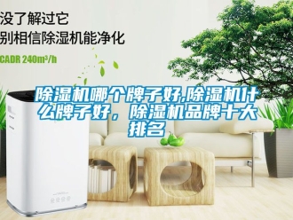 企業新聞除濕機哪個牌子好,除濕機什么牌子好，除濕機品牌十大排名