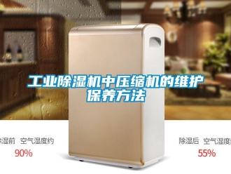 企業新聞工業除濕機中壓縮機的維護保養方法