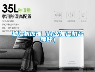 企業新聞抽濕機原理（什么抽濕機品牌好）