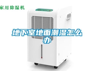 企業新聞地下室地面潮濕怎么辦