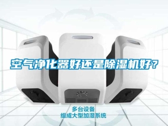 行業新聞空氣凈化器好還是除濕機好？