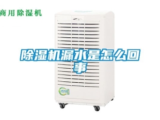 行業新聞除濕機漏水是怎么回事