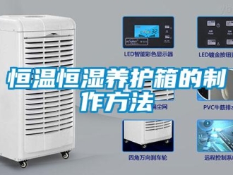 知識百科恒溫恒濕養護箱的制作方法