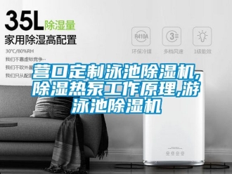 行業新聞營口定制泳池除濕機,除濕熱泵工作原理,游泳池除濕機