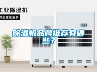 企業新聞除濕機品牌推薦有哪些？