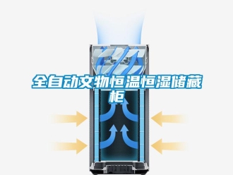 知識百科全自動文物恒溫恒濕儲藏柜