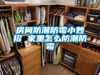 常見問題房間防潮防霉小妙招 家里怎么防潮防霉