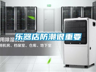 行業新聞樂器店防潮很重要