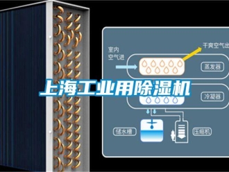 常見問題上海工業用除濕機