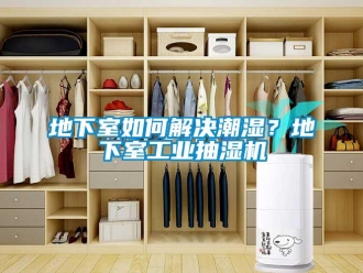 企業新聞地下室如何解決潮濕？地下室工業抽濕機