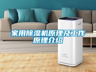 常見問題家用除濕機原理及工作原理介紹