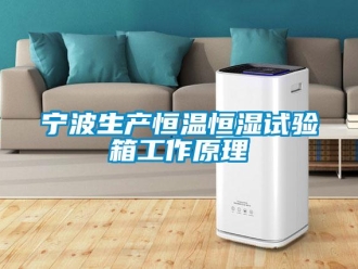 知識百科寧波生產恒溫恒濕試驗箱工作原理