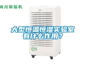 知識百科大型恒溫恒濕實驗室有什么作用？