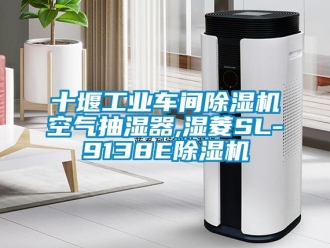 常見問題十堰工業車間除濕機空氣抽濕器,濕菱SL-9138E除濕機