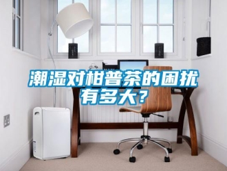 企業新聞潮濕對柑普茶的困擾有多大？