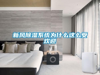 知識百科新風除濕系統為什么這么受歡迎