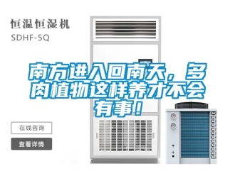行業新聞南方進入回南天，多肉植物這樣養才不會有事！