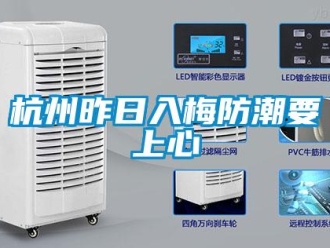 行業新聞杭州昨日入梅防潮要上心