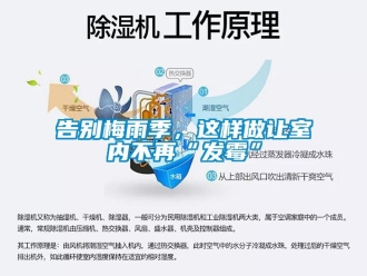 企業新聞告別梅雨季，這樣做讓室內不再“發霉”