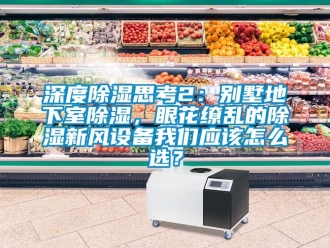 企業新聞深度除濕思考2：別墅地下室除濕，眼花繚亂的除濕新風設備我們應該怎么選？