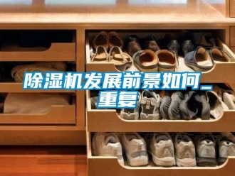 行業新聞除濕機發展前景如何_重復