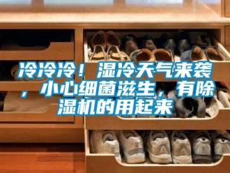 行業新聞冷冷冷！濕冷天氣來襲，小心細菌滋生，有除濕機的用起來