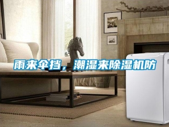 知識百科雨來傘擋，潮濕來除濕機防
