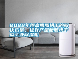 常見問題2022年提高臘腸烘干的解決方案，提升產量臘腸烘干型工業除濕機
