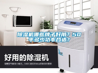 行業新聞除濕機哪些牌子好用？50平多少功率合適？