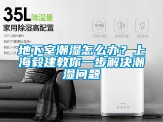 企業新聞地下室潮濕怎么辦？上海毅建教你一步解決潮濕問題