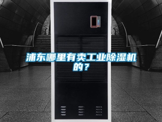 常見問題浦東哪里有賣工業除濕機的？
