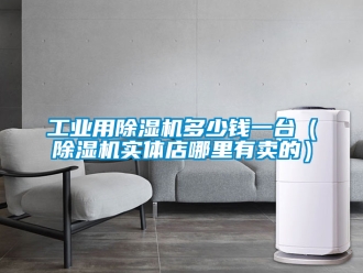 常見問題工業用除濕機多少錢一臺（除濕機實體店哪里有賣的）