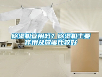 行業新聞除濕機管用嗎？除濕機主要作用及放哪比較好