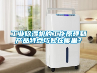 企業新聞工業除濕機的工作原理和產品特點巧妙在哪里？
