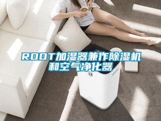 企業新聞ROOT加濕器兼作除濕機和空氣凈化器