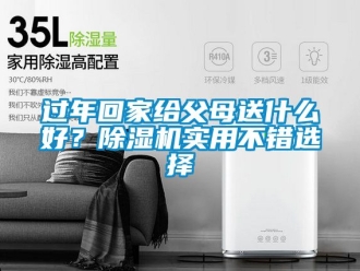 行業新聞過年回家給父母送什么好？除濕機實用不錯選擇