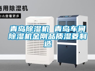 企業新聞青島除濕機 青島車間除濕機金剛品質濕菱制造
