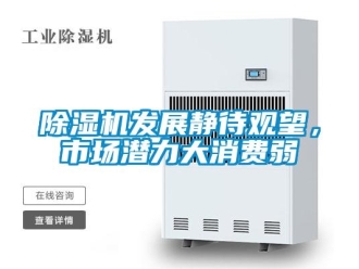 企業新聞除濕機發展靜待觀望，市場潛力大消費弱