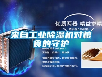 行業新聞來自工業除濕機對糧食的守護