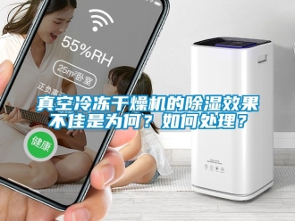 行業新聞真空冷凍干燥機的除濕效果不佳是為何？如何處理？