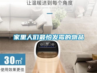 行業新聞家里人們最怕發霉的物品