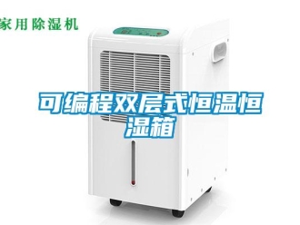知識百科可編程雙層式恒溫恒濕箱