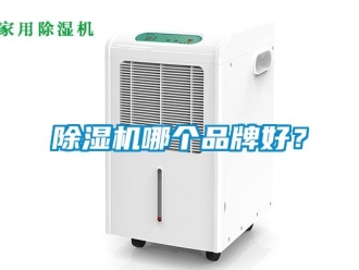 企業新聞除濕機哪個品牌好？