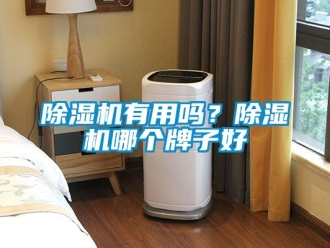行業新聞除濕機有用嗎？除濕機哪個牌子好