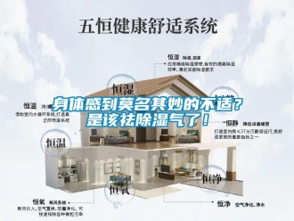 知識百科身體感到莫名其妙的不適？是該祛除濕氣了！