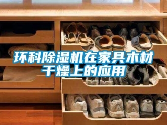 行業新聞環科除濕機在家具木材干燥上的應用