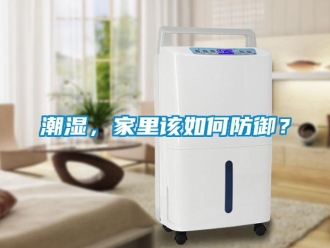常見問題潮濕，家里該如何防御？