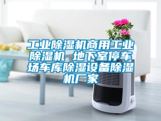 企業新聞工業除濕機商用工業除濕機 地下室停車場車庫除濕設備除濕機廠家